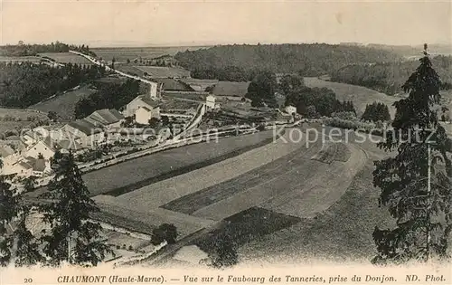 Chaumont_Haute Marne Vue sur le Faubourg des Tanneries prise du Donjon Chaumont Haute Marne