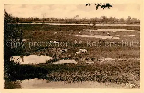 Bourbon Lancy La Loire et ses Paturages Bourbon Lancy