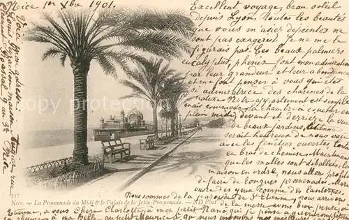 Nice_Alpes_Maritimes Promenade du Midi Palais de la Jetee Promenade Nice_Alpes_Maritimes