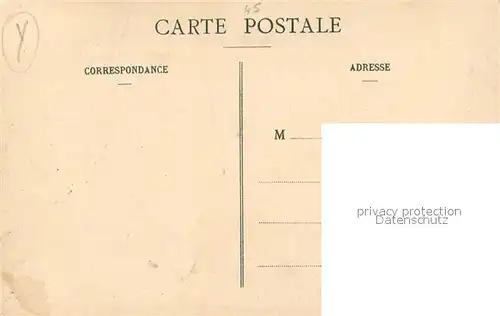 Pithiviers_en_Gatinais Le Safran Une Safraniere 