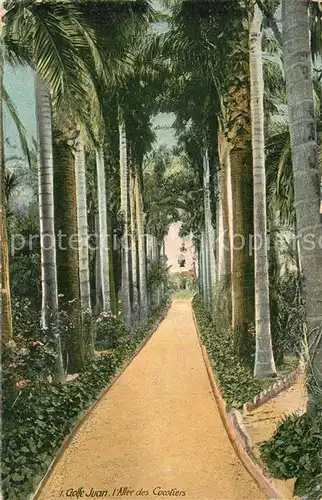 Golfe Juan Allee des Cocotiers Golfe Juan