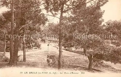 La_Baule les Pins Bois d Amour La_Baule les Pins