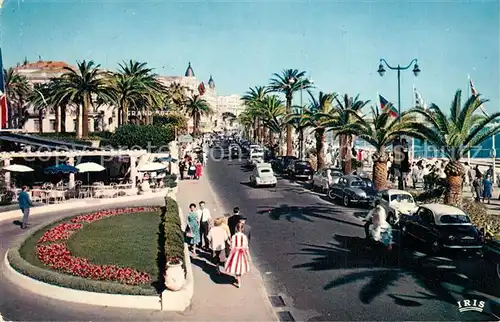 Cannes_Alpes Maritimes La Croisette Cannes Alpes Maritimes