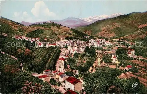 Amelie les Bains Palalda Vue generale et le Massif du Canigou Amelie les Bains Palalda
