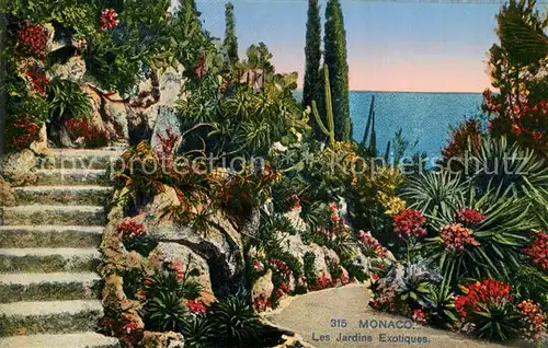 Monaco Les Jardins Exotiques Monaco