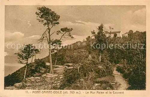 Mont Sainte Odile_Mont Ste Odile Le Mur Paien et le Couvent Mont Sainte Odile