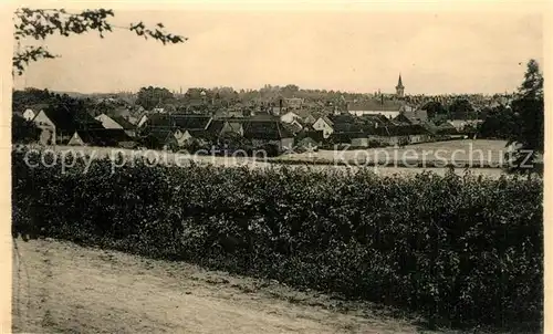 Louhans Vue generale prise de Chateaurenaud Louhans