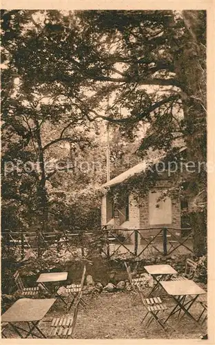 Arcy sur Cure_Yonne Effet dEclairage sur les Terrasses et le Chalet des Grottes Arcy sur Cure Yonne