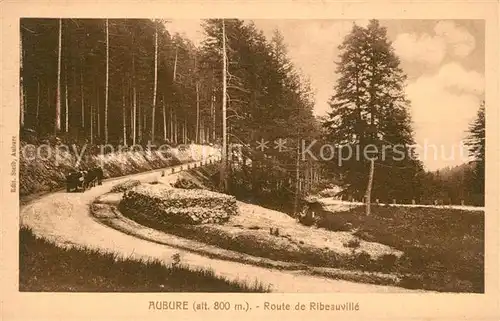 Aubure_Haut_Rhin Route de Ribeauville Aubure_Haut_Rhin