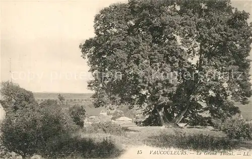 Vaucouleurs Le Grand Tilleul Vaucouleurs