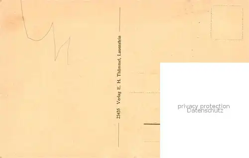 Lauenstein_Erzgebirge Panorama Ortsansicht mit Kirche Lauenstein_Erzgebirge