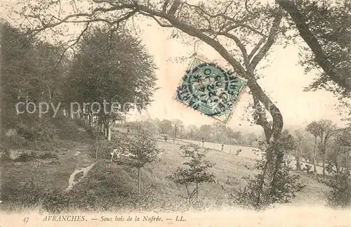 Avranches Sous bois de la Nafree Avranches