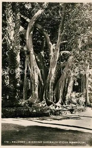 Palermo_Sicilia Giardino Garibaldi Feigenbaum Palermo_Sicilia
