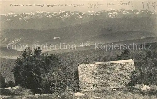 Ortler Panorama vom Penegal Ortler