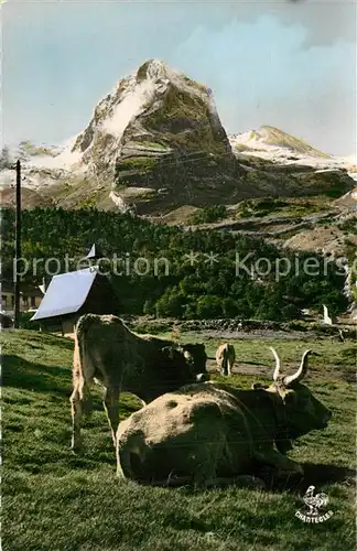 Ossau_Vallee Chapelle Courette  K?he 