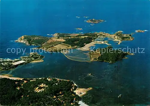 Le_Brusc Vue aerienne du port des Embiez Le_Brusc