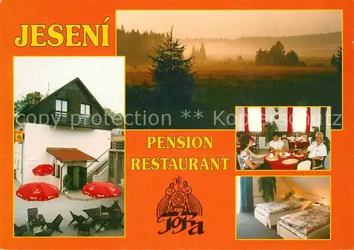 Jeseni na Sumave Pension restaurant Tora 