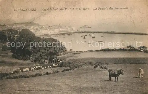 Douarnenez Vue generale du Port et de la Baie La Prairie des Pomarchs Douarnenez