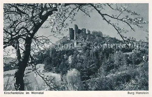 Bad_Sooden Allendorf Burg Hanstein Kirschenbluete im Werratal Bad_Sooden Allendorf