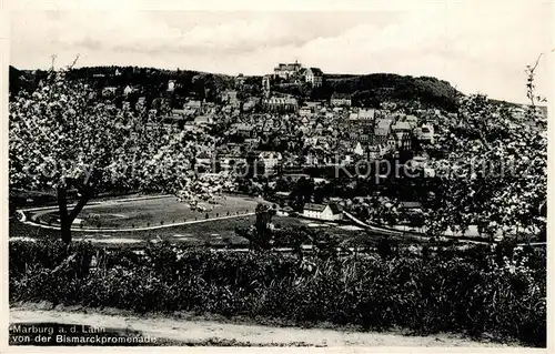 Marburg_Lahn Panorama Blick von der Bismarckpromenade Baumbluete Marburg_Lahn
