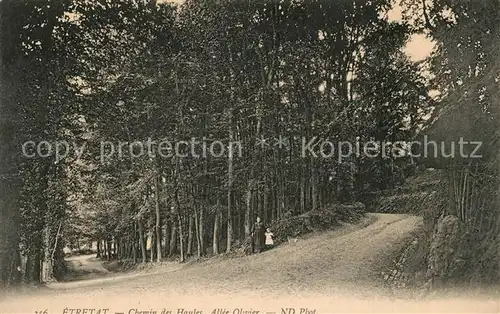 Etretat Chemin des Haules Allee Olivier Etretat