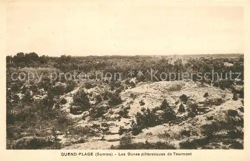 Quend_Plage_les_Pins Les Dunes pittoresques de Tourmont Quend_Plage_les_Pins