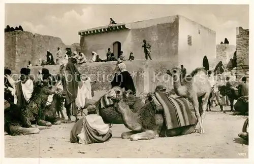 Gabes Oase Eingeborene Oasis Natifs Gabes