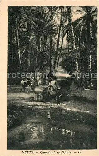 Nefta Chemin dans l Oasis Nefta