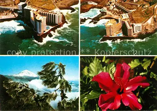 Mesa_del_Mar Hotel Marysol Fliegeraufnahme Blumen Landschaftspanorama Vulkan Teide Mesa_del_Mar