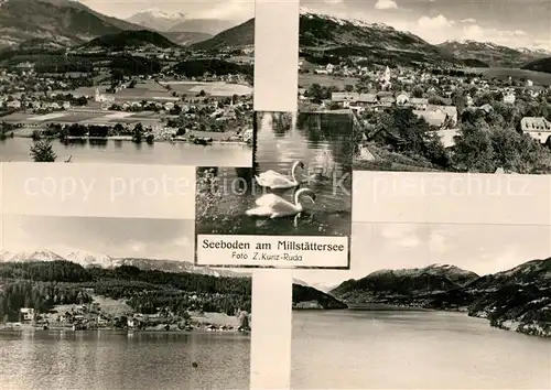 Seeboden_Millstaettersee Landschaftspanorama Alpen Schwaene Seeboden_Millstaettersee