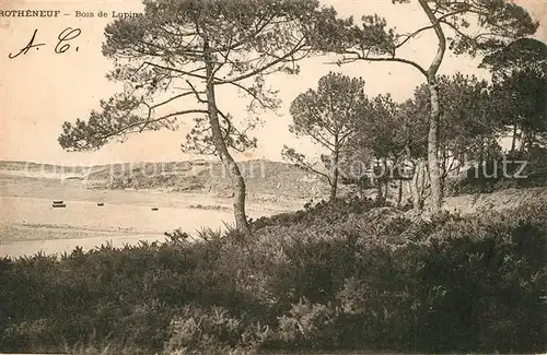 Rotheneuf Bois de Lupin Rotheneuf