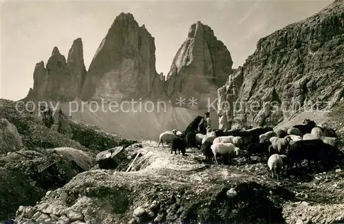 Tre_Cime_di_Lavaredo Schafe Sch?fer  Tre_Cime_Di_Lavaredo