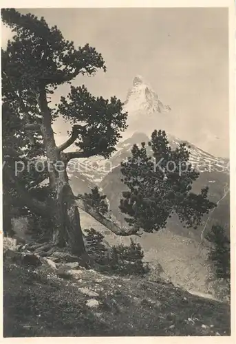 Zermatt_VS Blick zum Matterhorn Walliser Alpen Zermatt_VS