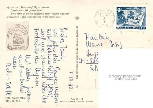 Lajosmizse Almavirag Mgsz menese Gestuet der LPG Apfelbluete Pferde 