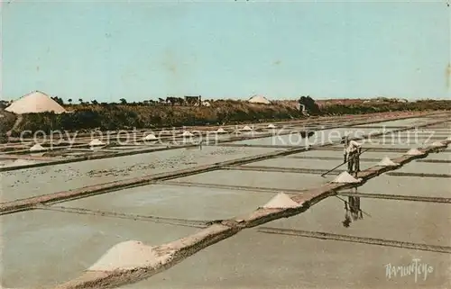La_Rochelle_Charente Maritime Marais salants La_Rochelle