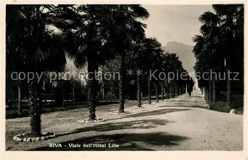 Riva_del_Garda Viale dell Hotel Lido Riva_del_Garda