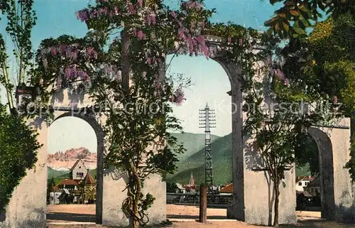 Gries Quirein_Bozen Bl?hende Glycinien am Parktor  