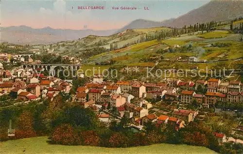 Bellegarde_du_Loiret Vue Generale Bellegarde_du_Loiret