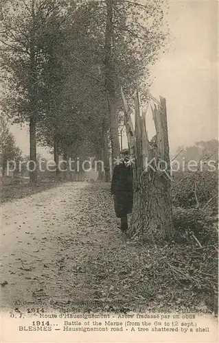Blesmes Route d Haussignemont arbre fracasse par un obus Blesmes