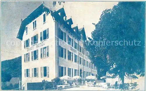 Brides les Bains Savoy Hotel Brides les Bains