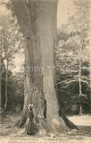 Contrexeville_Vosges Chene des Partisans Arbre Contrexeville_Vosges