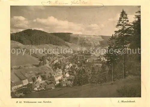 Wildemann Panorama Wildemann