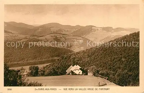 Sainte Marie aux Mines_Haut_Rhin Vue vers la vallee prise de Fortrupt Landschaftspanorama Sainte Marie aux Mines_Haut