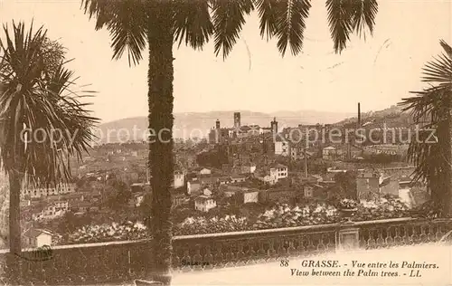 Grasse_Alpes_Maritimes Vue entre les palmiers Grasse_Alpes_Maritimes