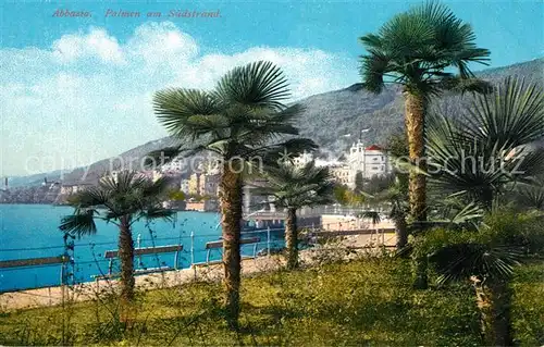 Abbazia_Istrien Palmen am S?dstrand Abbazia_Istrien