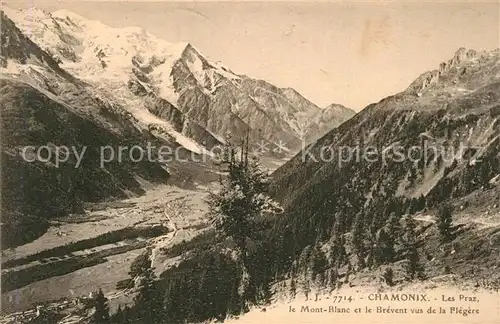 Chamonix Panorama Les Praz Mont Blanc le Brevent vus de la Flegere Chamonix