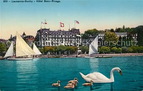 Ouchy Hotel Beau Rivage Lac Leman Genfersee Schwaene Ouchy