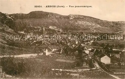 Arbois Vue panoramique Arbois