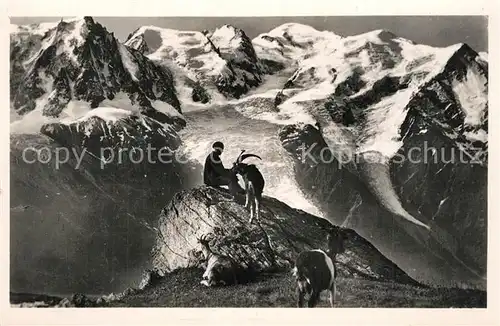 Chamonix Chaine du Mont Blane Chamonix