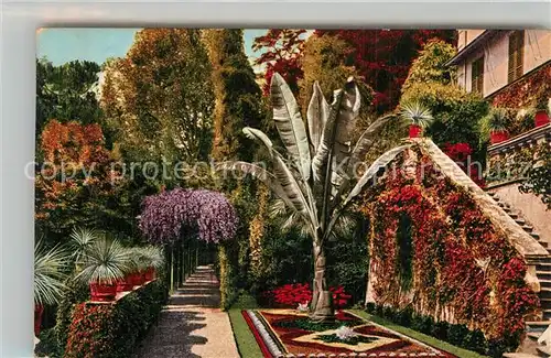 Cadenabbia_Lago_di_Como Giardino della Villa Carlotta  Cadenabbia_Lago_di_Como